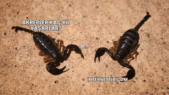 Akrepler Kaç Yıl Yaşarlar?