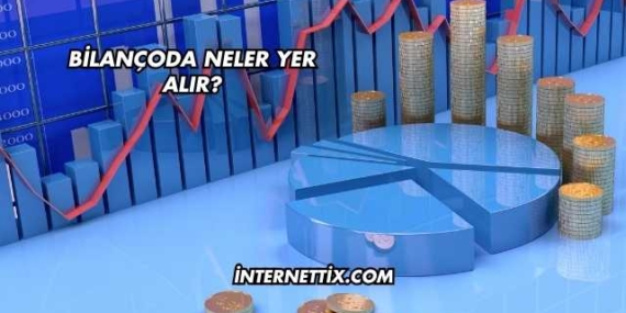 Bilançoda Neler Yer Alır?