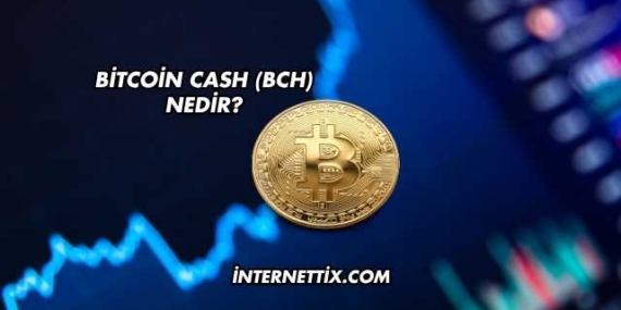 Bitcoin Cash (BCH) Nedir?