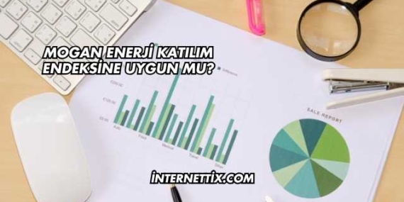 Mogan Enerji Katılım Endeksine Uygun mu?
