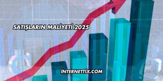 Satışların Maliyeti 2025