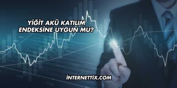 Yiğit Akü Katılım Endeksine Uygun mu?