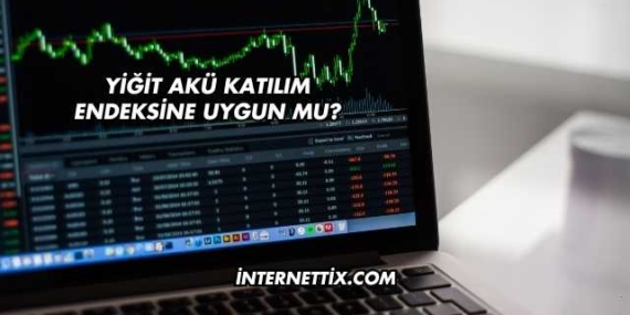 Yiğit Akü Katılım Endeksine Uygun mu?