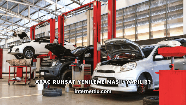 Araç Ruhsat Yenileme Nasıl Yapılır?